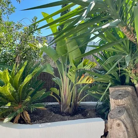 61 Boulouris Appartement Saint-Raphaël