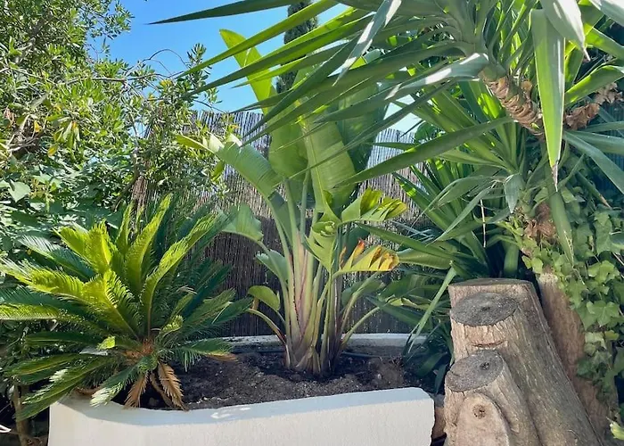 61 Boulouris Apartamento Saint-Raphaël